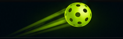 Pickleball in motion